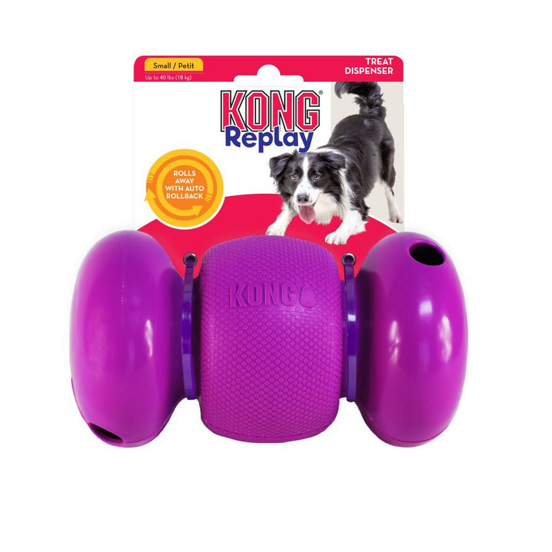 KONG RePlay Dog Toy