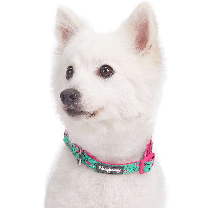 Blueberry Pet Pink Flamingo Light Emerald Dog Collar