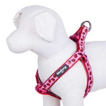 Load image into Gallery viewer, Blueberry Pet Step-in Ladybug Designer Dog Harness
