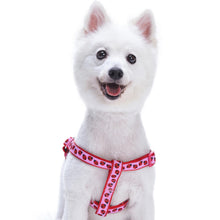 Load image into Gallery viewer, Blueberry Pet Step-in Ladybug Designer Dog Harness
