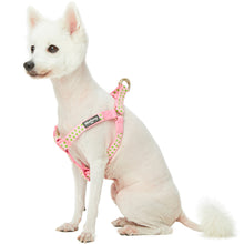 Load image into Gallery viewer, Blueberry Pet Step-in Velvety Polka Dot Baby Pink Flocking Dog Harness
