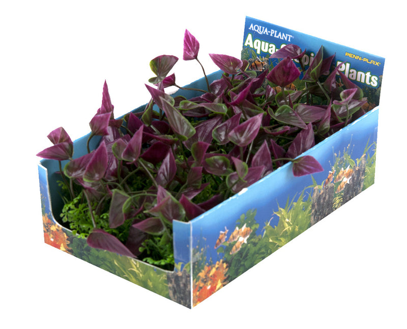 Penn-Plax Aquarium Decor Plant Bunch Green & Purple 5 count