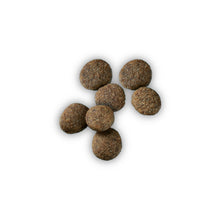 Load image into Gallery viewer, Purina Pro Plan Development Sensitive Skin &amp; Stomach Salmon &amp; Rice With Probiotics Large Breed Dry Puppy Food
