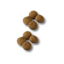 Load image into Gallery viewer, Purina Pro Plan Specialized Beef &amp; Rice Formula With Probiotics High Protein Large Breed Dry Dog Food
