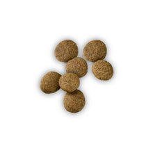 Load image into Gallery viewer, Purina Pro Plan Development Beef &amp; Rice Formula With Probiotics High Protein Large Breed Dry Puppy Food
